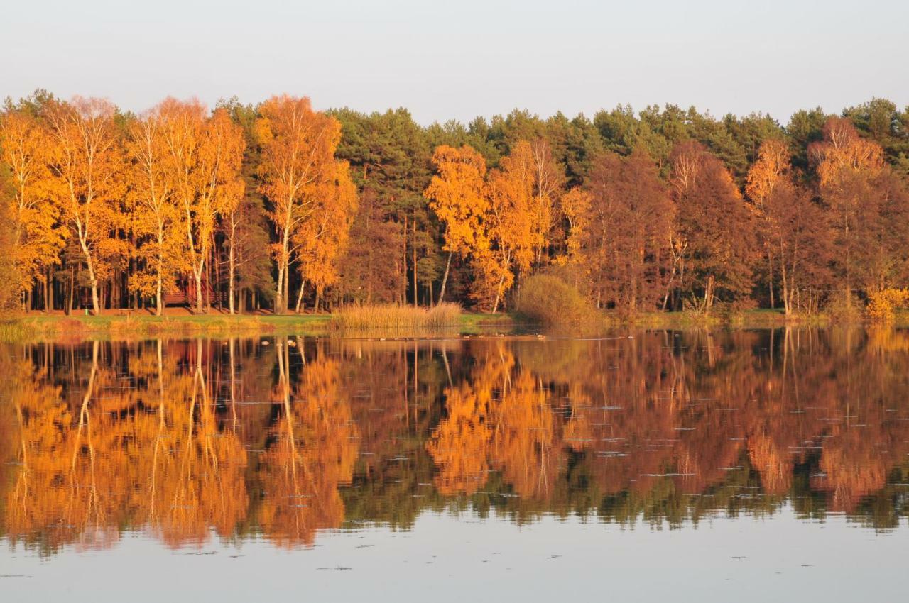 Wawrzkowizna Otel Rząsawa Dış mekan fotoğraf